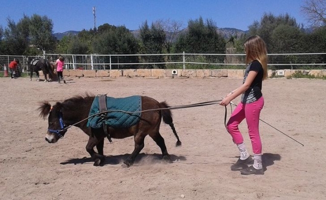 llevando al caballo
